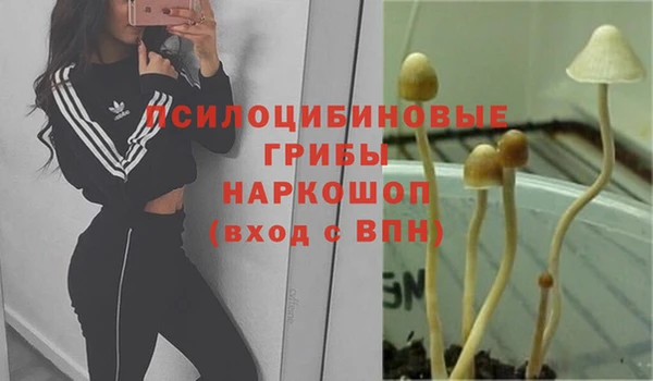 наркотики Алексин