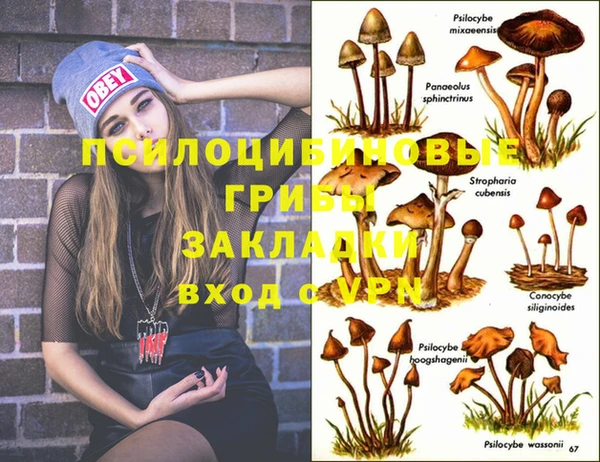 индика Алексеевка