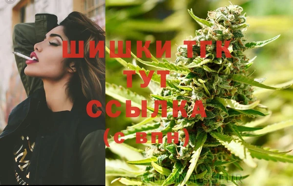 spice Алзамай