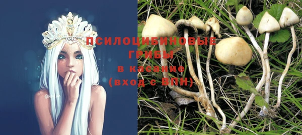 индика Алексеевка